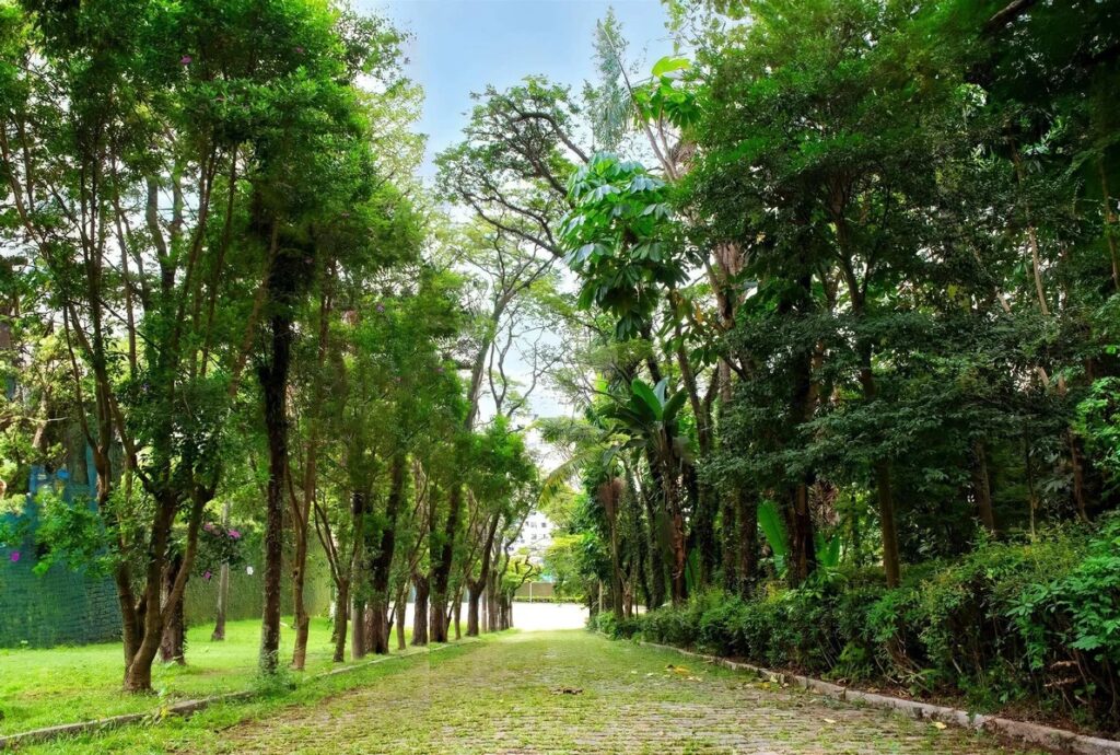 Reserva Botânika Cidade Jardim, 4 suítes, Lançamento de casas na Rua Valdemar Lèfevré,Imóvel na Cidade Jardim, Casa em condomínio fechado