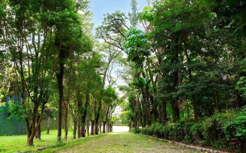 Reserva Botânika Cidade Jardim